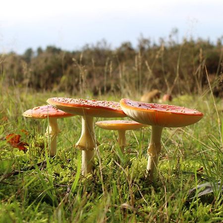 Carpe Diem Nijverdal Bagian luar foto