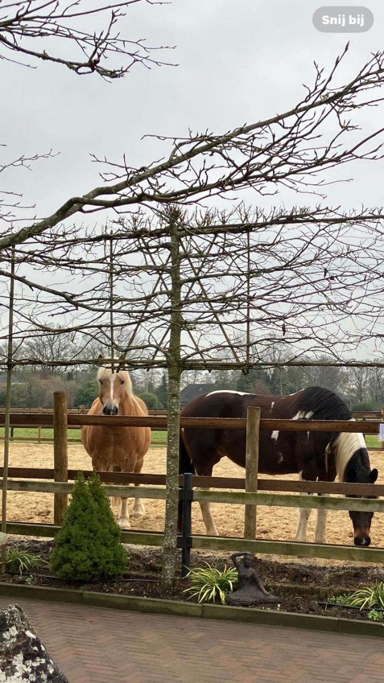 Carpe Diem Nijverdal Bagian luar foto