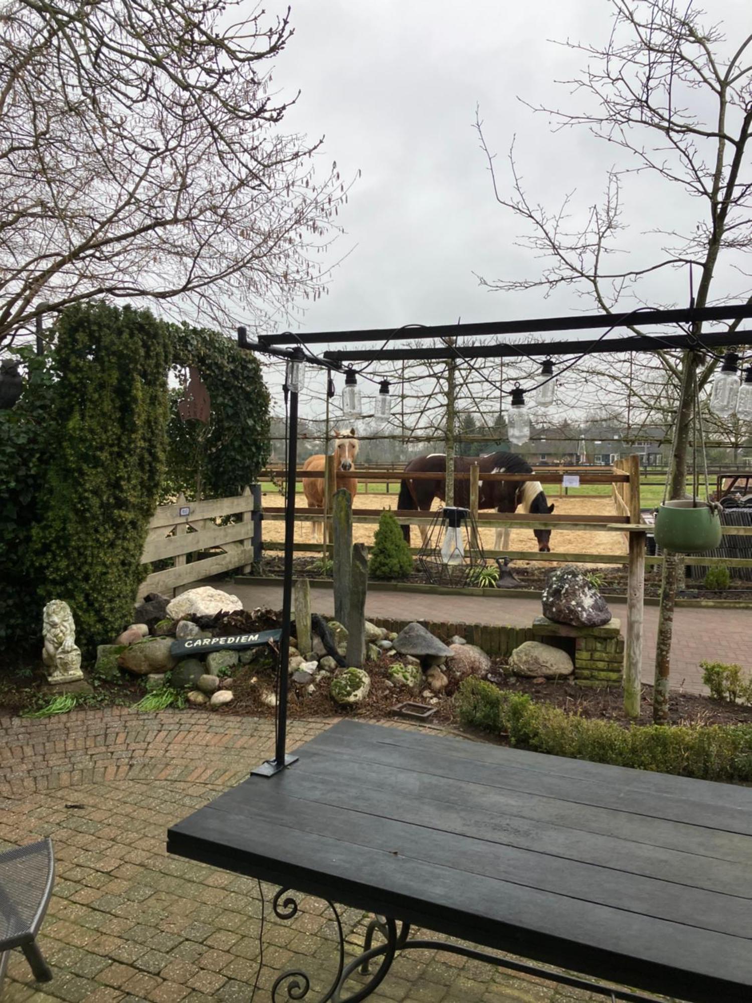 Carpe Diem Nijverdal Bagian luar foto