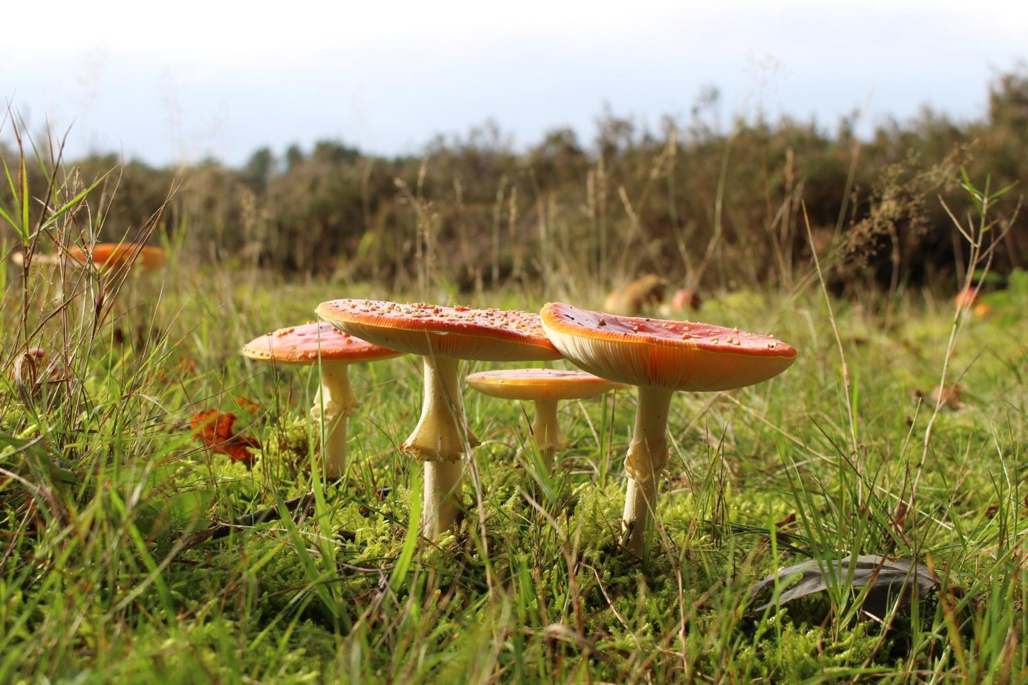 Carpe Diem Nijverdal Bagian luar foto
